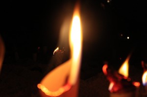 IMG_0561