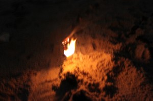IMG_0571