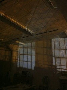 IMG_3571