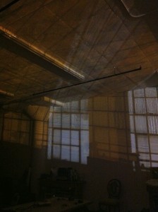 IMG_3572