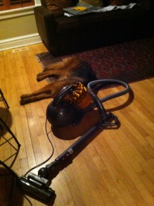 jolie as vacuum