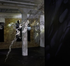 DanaMajor evolution to ground illuminated