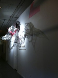 DanaMajor studio door 1 c