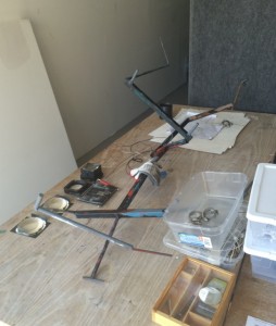 DanaMajor Pan in optics studio