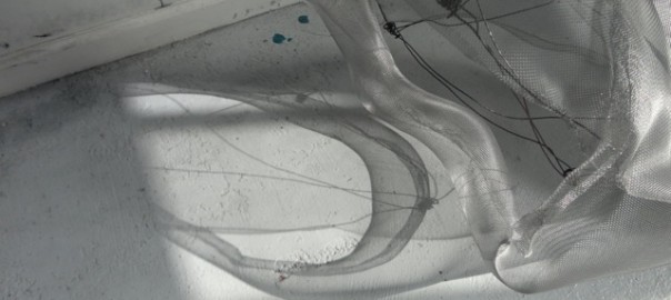 dana major, chicago artist, light art, led art, crystal seeing